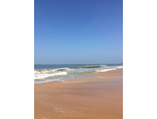 IMG_0560.JPG