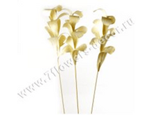 image166 - ����� - ����� - �����.png