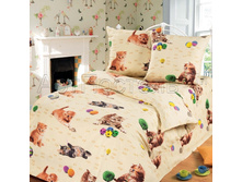 ������ ���������.jpg