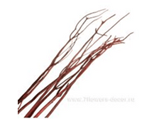 image124 - ����� - ����� - �����.png