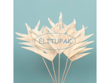 ��01 ���� �������� (5) 50 �.jpeg