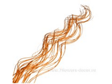 image174 - ����� - ����� - �����.png