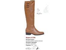 3100+% ������ ����. 3410+% �������