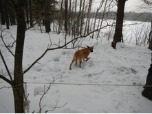 DSCN4236.JPG