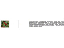 ������ �����.jpg