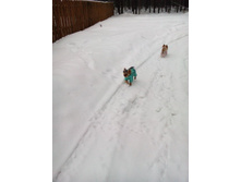 IMG_20150105_124928.jpg