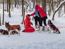 _MG_7004.jpg