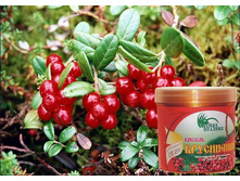 ������ ����������