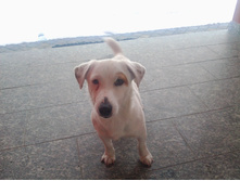 20150122_173017.jpg