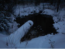 DSCN4267.JPG