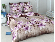 39_685 4151-1 ��� 2�� �������� ����.jpg