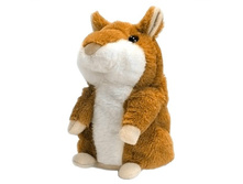 ������� "��������� �����-����������" �=15��