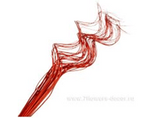 image185 - ����� - ����� - �����.png