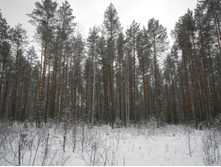 DSCN4255.JPG