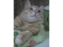 ������� 14-3.jpg