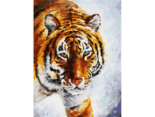 780-AS ���� �� �����.jpg