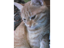 ������ 14-11.jpg