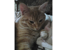 ������ 14-6.jpg