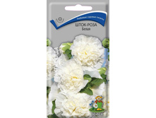 ����-���� �����.jpg