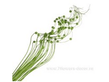 image240 - ����� - ����� - �����.png