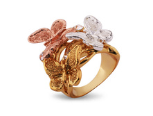 ������    �������  IR0263 - 1250 ��� �� ������� 800 ���