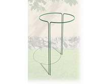 ��������������  ����  �����.jpg