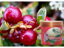 ������ ����������