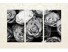 F048 - 1685 ���.