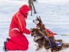 _MG_6897.jpg