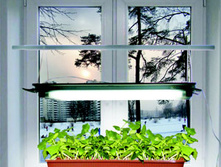 ���� ������� ������ �� �����������, ����� ���������� ���������� 3 ������ ��� �� ��������� ������ ��� � ������ � ���� ����������.jpg