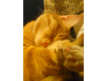 ������ 14-2.jpg