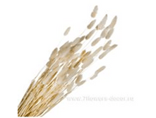 image192 - ����� - ����� - �����.png