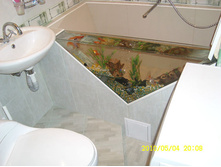 ����� � ����������. jpg.jpg