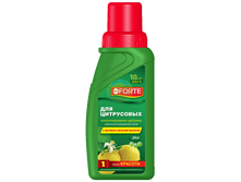 �� ������� №1 ��� ���������� (������ 285 ��).png