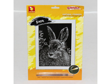 51822_������� 27�11_118 ���+%.jpg