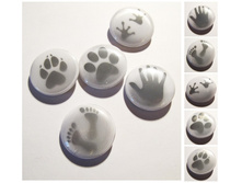 ������ � �������� ����������. ����� "�����". 5 �������