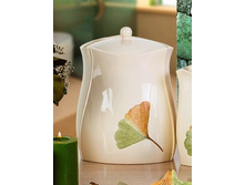 GINKGO ���� � �������.jpg