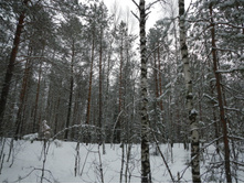 DSCN4250.JPG
