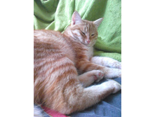 ������ 14-6.jpg