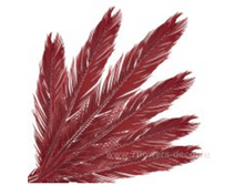 image265 - ����� - ����� - �����.png