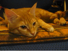 ������� 14-8.jpg