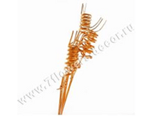 image160 - ����� - ����� - �����.png