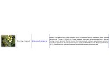 �������� �������� ��������� ��������.jpg