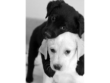 ������ � ����� ����� 19 �� 27 Ag 453-585 ���..jpg