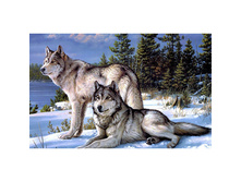 ����� 38 �� 48 Ag 409- 1097 ���..jpg