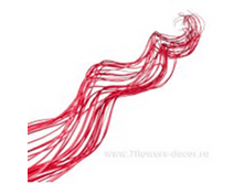 image178 - ����� - ����� - �����.png