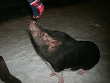 GEDC2138.JPG