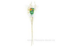 image157 - ����� - ����� - �����.png