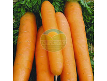 ������ ������� �� ����� ����� (8 �).jpg