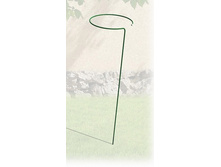 ����� ��� ������ ������� �������.jpg